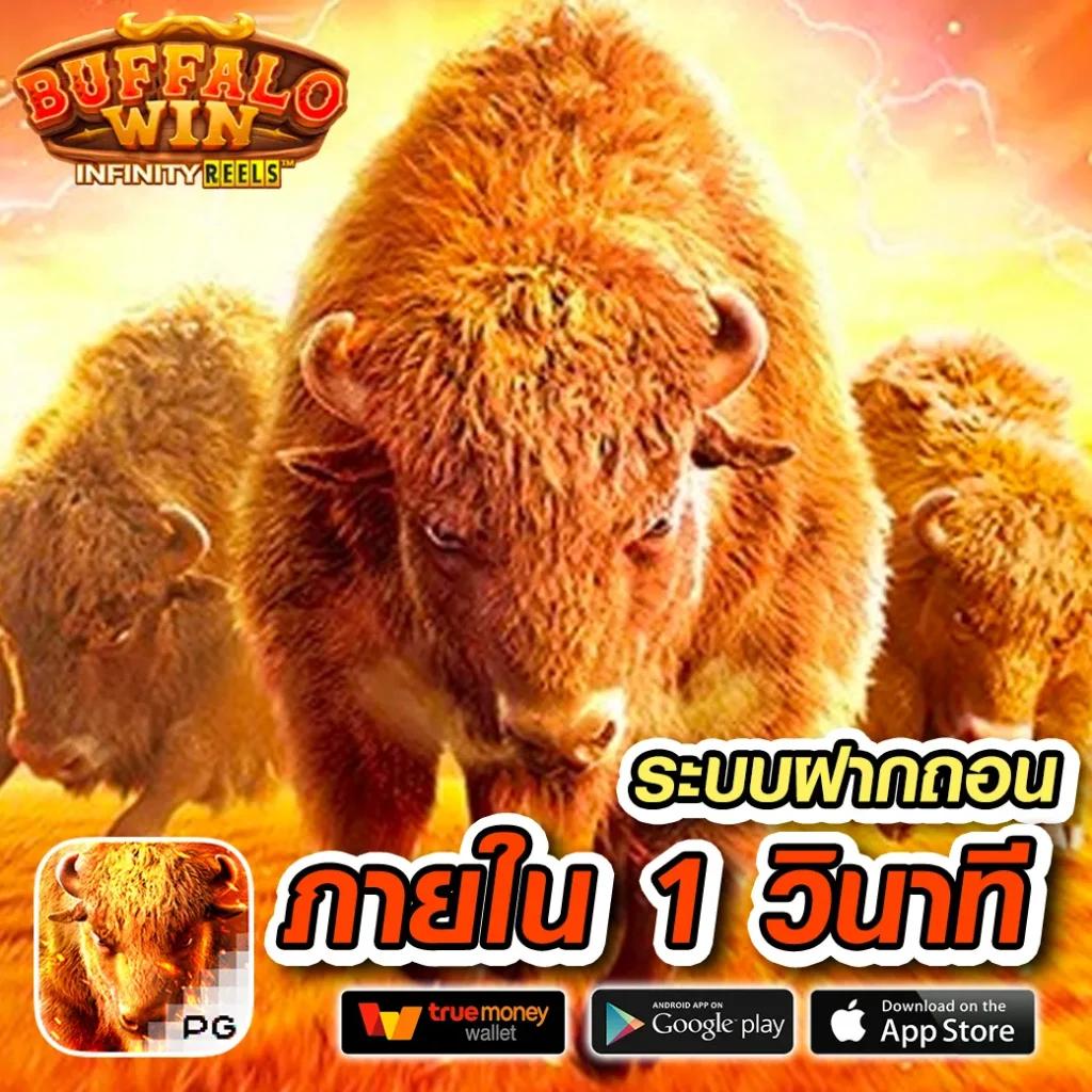 wm789 เว็บตรง สล็อต ฝากถอนออโต้ ไม่ผ่านเอเย่นต์ 2026